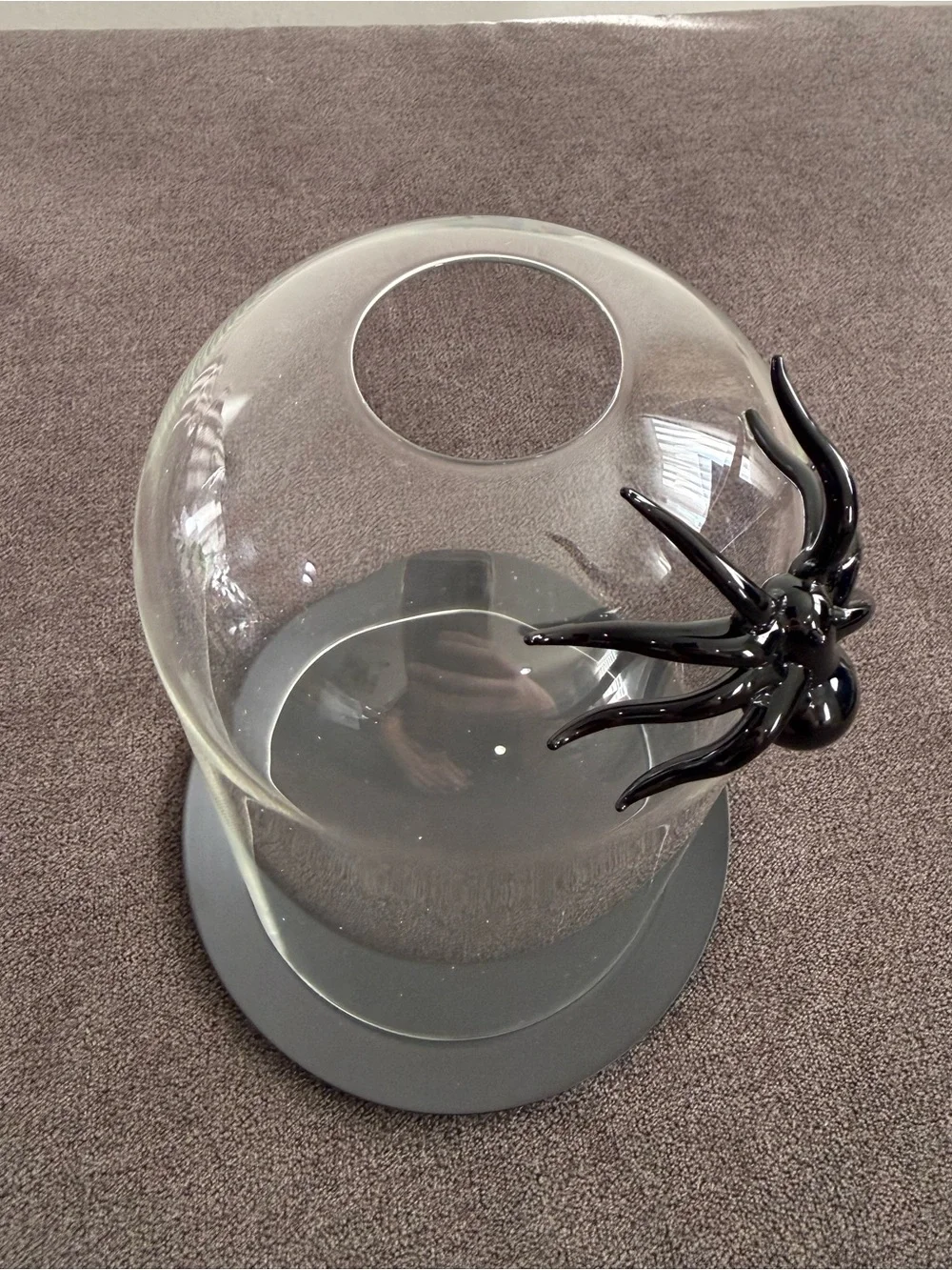 West Elm Glass Spider Cloche Candleholder